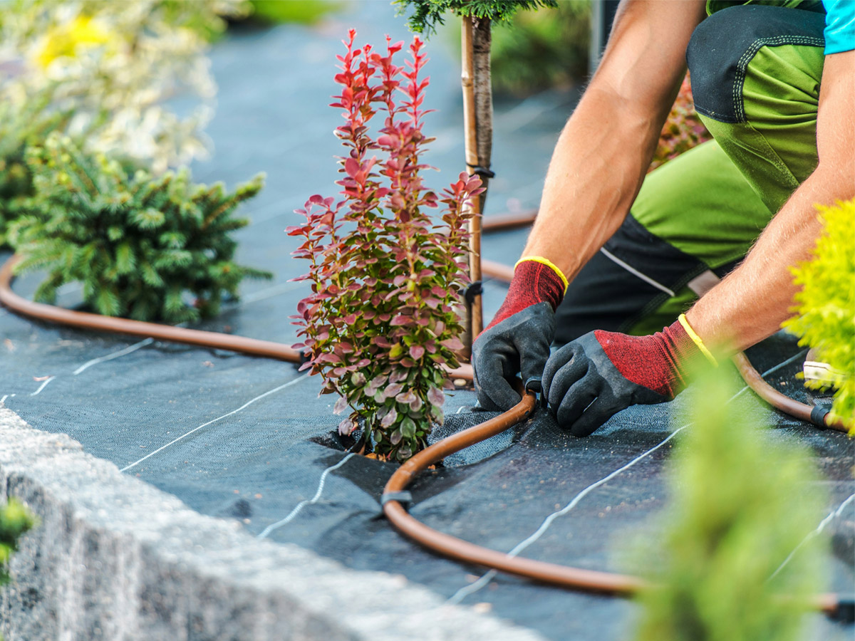 Garden irrigation installation by Reese Landscaping in the Nelson Tasman area